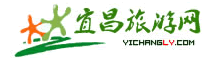 河南网